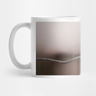 the invisible architect Mug